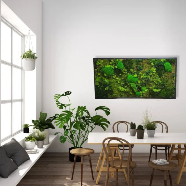 🌿Les textures, les teintes, l'éclairage, les matériaux donnent le ton à la pièce et la verdure vient lier tout ça!🌿

#decoration
#matériaux 
#nature 
#plantes 
#cadrevegetal