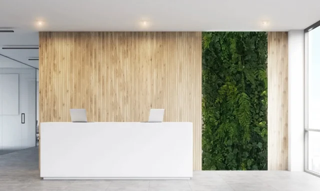 🌿Ajouter une tuile végétale en verdures artificielles à votre lieu de travail. 

S'agence à merveille avec le bois

Unifie les éléments décoratifs🌿

Ça te'l dit tu d'avoir un comptoir- réception comme ça? 

Viens me jaser de ton projet!
🍃 Lien dans ma bio!

#bureau #designcommercial #verdures #tuilesvegetales